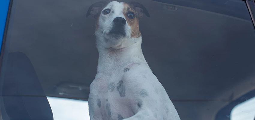 Car Lockout Solutions in Bermuda Dunes, California